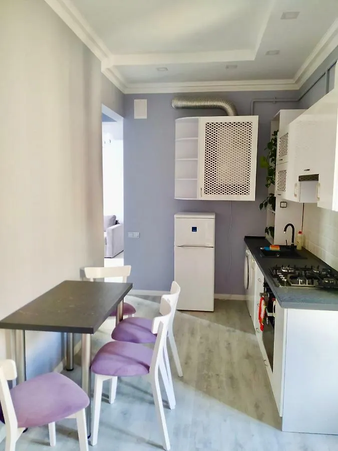 Romantic Panorama Krakivska Street Lviv Apartment